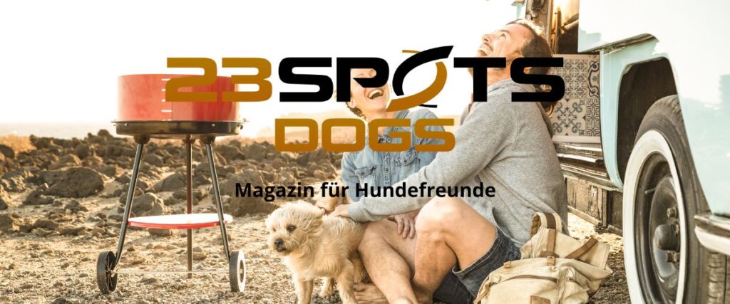 Auf Reise mit dem Hund