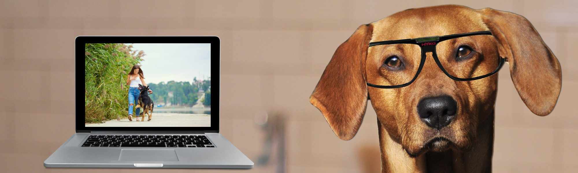 Ausbildung und Training