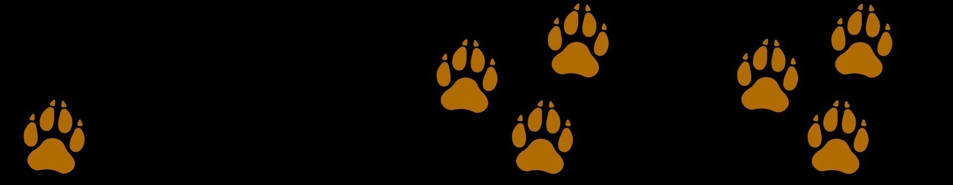 Footer 23Spots Dogs 01