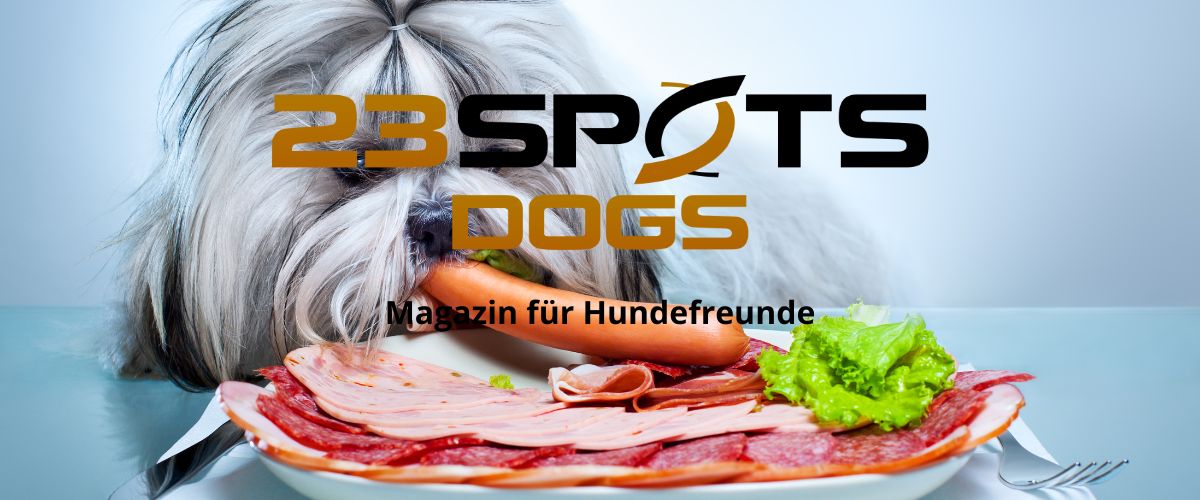 Hilfe, mein Hund frisst alles….