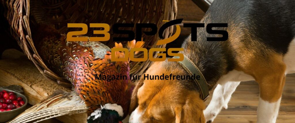 Warum Hunde jagen
