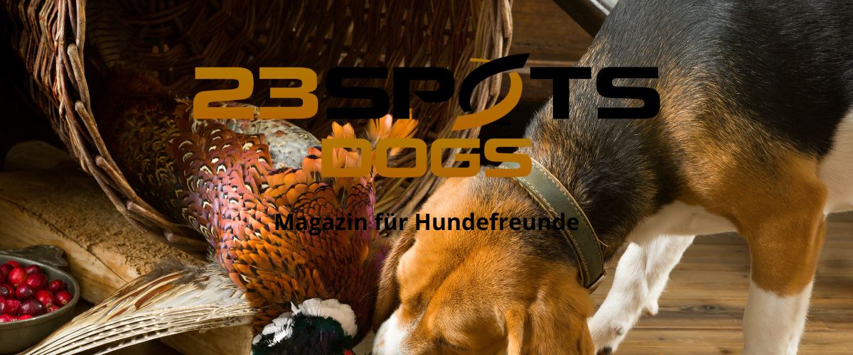 Warum Hunde jagen